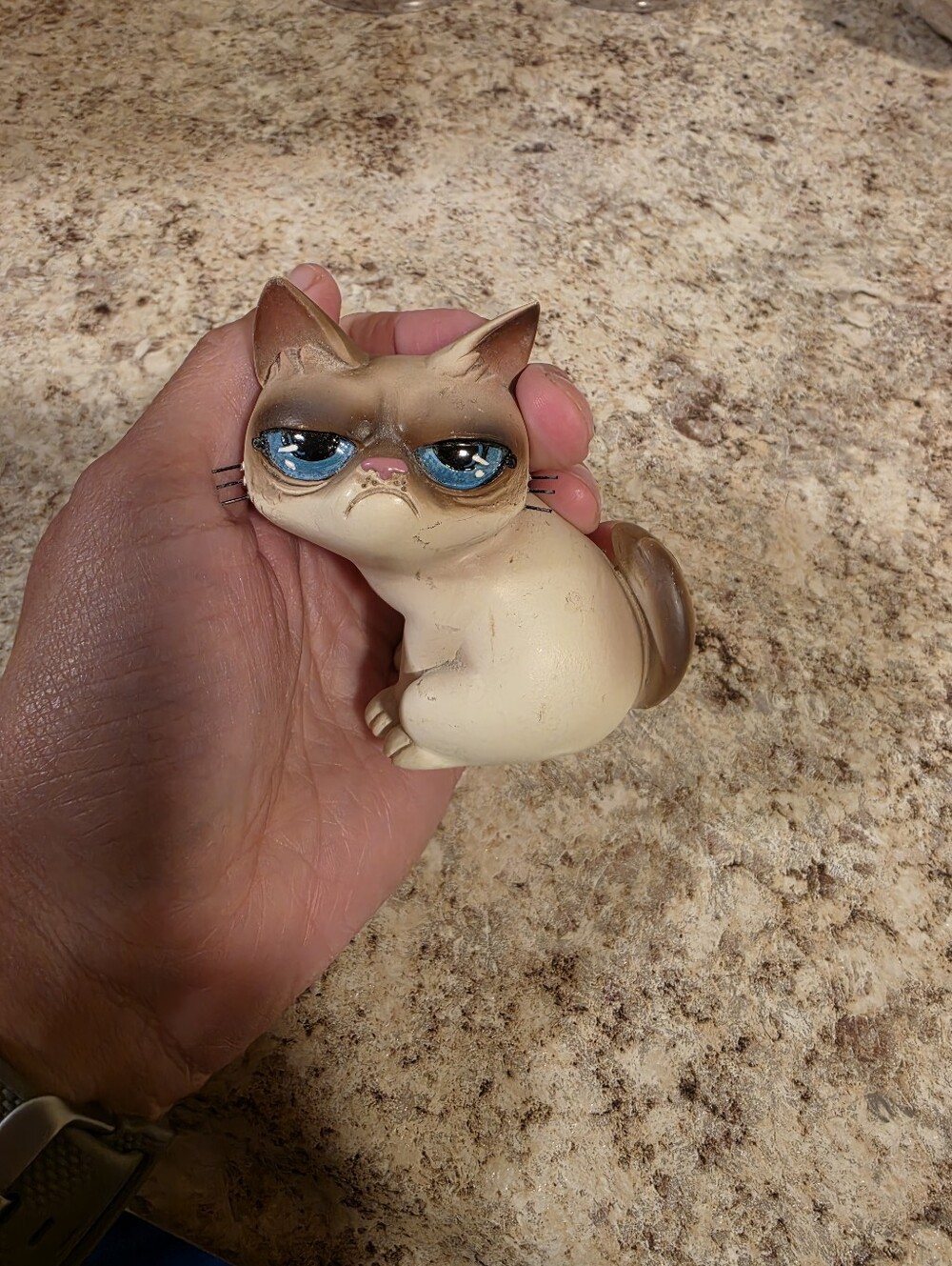 Grumpy Cat Bundle - Picture 3 of 6